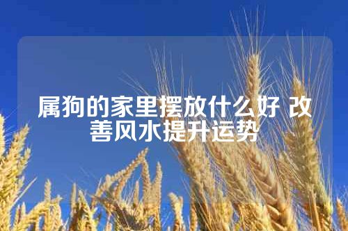 属狗的家里摆放什么好 改善风水提升运势