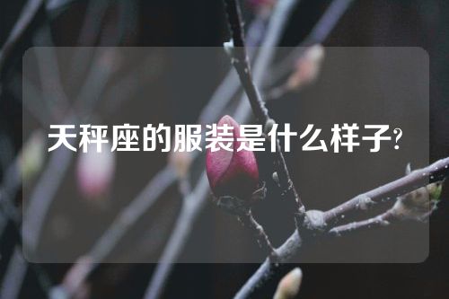 天秤座的服装是什么样子?