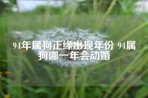 94年属狗正缘出现年份 94属狗哪一年会动婚