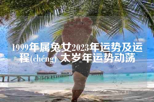 1999年属兔女2023年运势及运程(chéng) 太岁年运势动荡