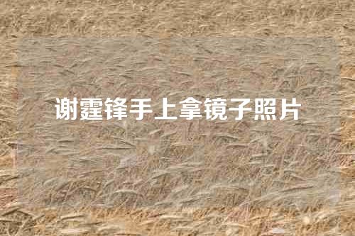 谢霆锋手上拿镜子照片