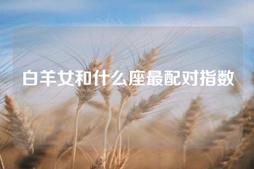 白羊女和什么座最配对指数