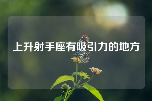 上升射手座有吸引力的地方