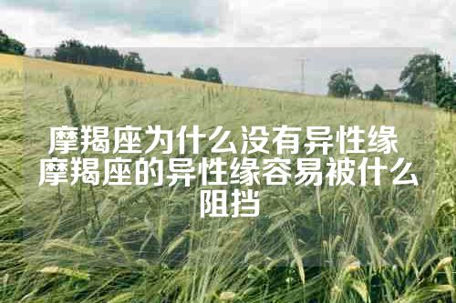 摩羯座为什么没有异性缘 摩羯座的异性缘容易被什么阻挡