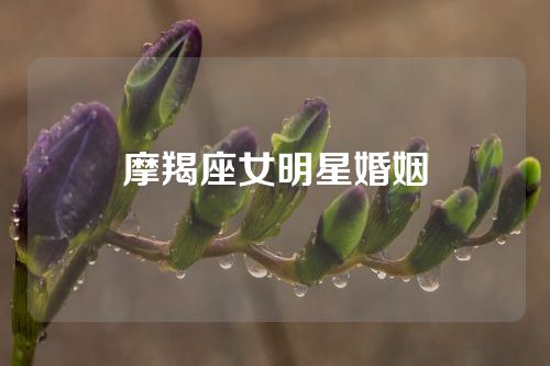 摩羯座女明星婚姻
