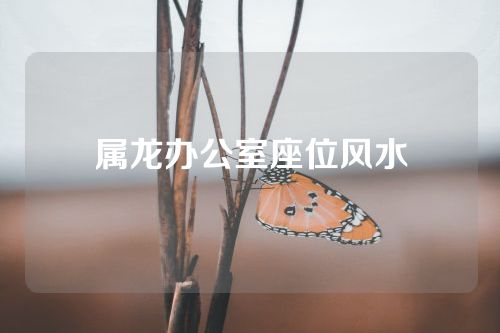属龙办公室座位风水