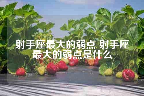 射手座最大的弱点 射手座最大的弱点是什么