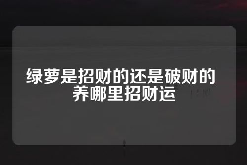 绿萝是招财的还是破财的 养哪里招财运